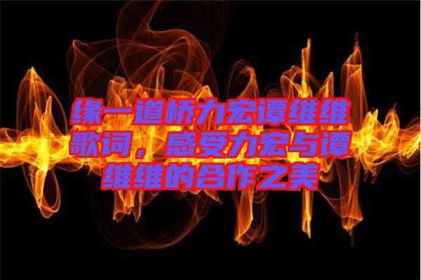 緣一道橋力宏譚維維歌詞，感受力宏與譚維維的合作之美