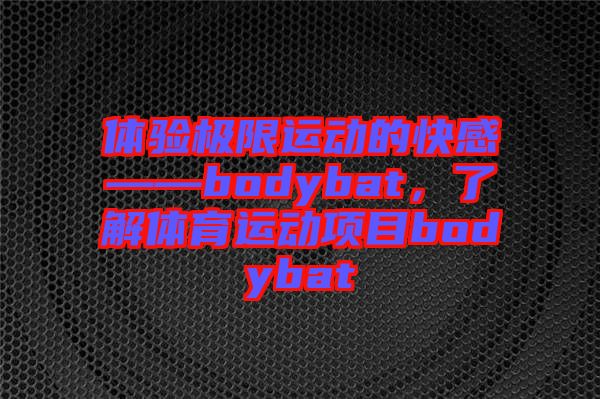 體驗極限運動的快感——bodybat，了解體育運動項目bodybat