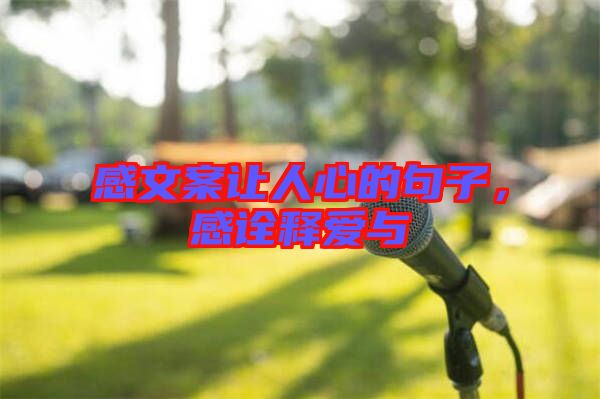 感文案讓人心的句子，感詮釋愛與