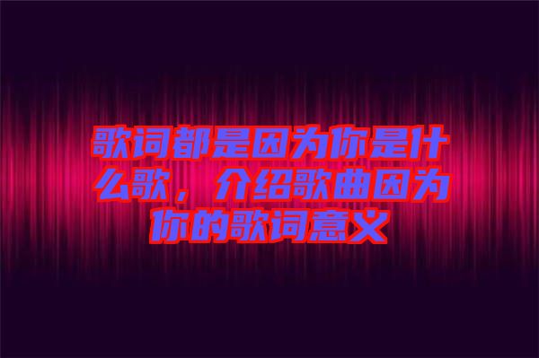 歌詞都是因為你是什么歌，介紹歌曲因為你的歌詞意義