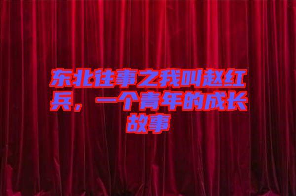 東北往事之我叫趙紅兵，一個青年的成長故事