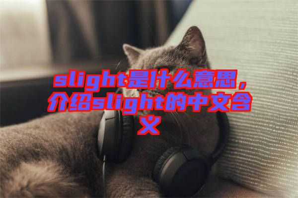 slight是什么意思，介紹slight的中文含義