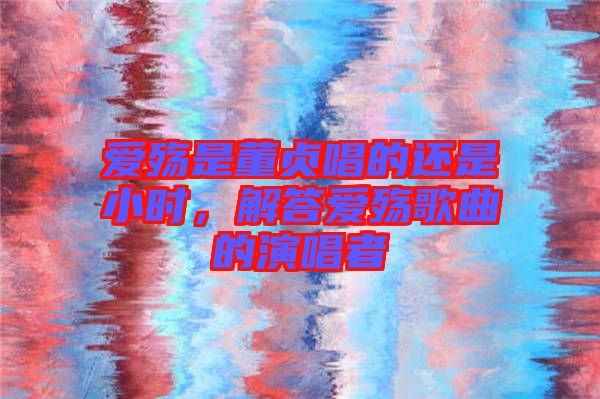 愛殤是董貞唱的還是小時，解答愛殤歌曲的演唱者