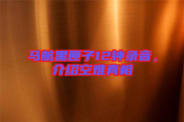 馬航黑匣子12鐘錄音，介紹空難真相