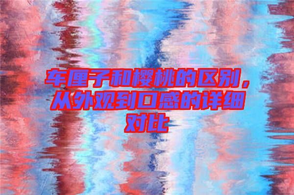 車?yán)遄雍蜋烟业膮^(qū)別，從外觀到口感的詳細(xì)對比
