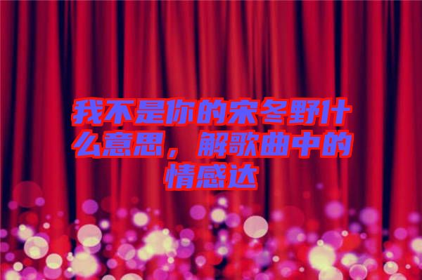 我不是你的宋冬野什么意思，解歌曲中的情感達(dá)