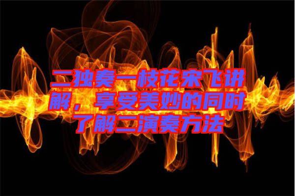 二獨奏一枝花宋飛講解，享受美妙的同時了解二演奏方法