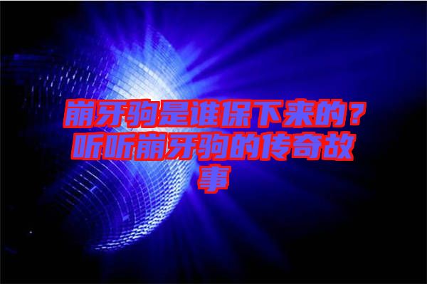 崩牙駒是誰保下來的？聽聽崩牙駒的傳奇故事
