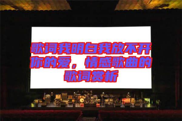 歌詞我明白我放不開你的愛，情感歌曲的歌詞賞析