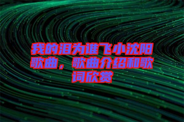 我的淚為誰飛小沈陽歌曲，歌曲介紹和歌詞欣賞