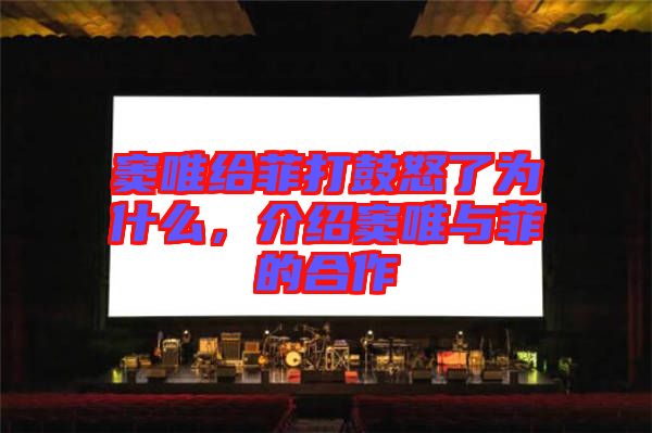 竇唯給菲打鼓怒了為什么，介紹竇唯與菲的合作