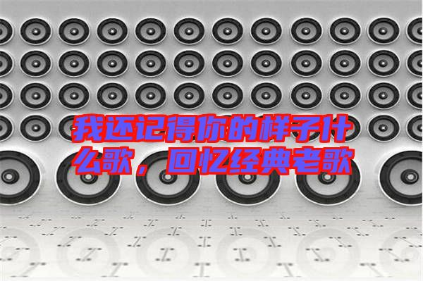 我還記得你的樣子什么歌，回憶經(jīng)典老歌