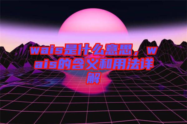 wais是什么意思，wais的含義和用法詳解