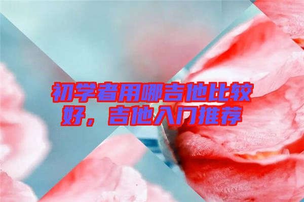 初學(xué)者用哪吉他比較好，吉他入門推薦