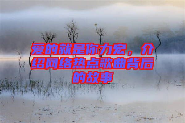 愛(ài)的就是你力宏，介紹網(wǎng)絡(luò)熱點(diǎn)歌曲背后的故事