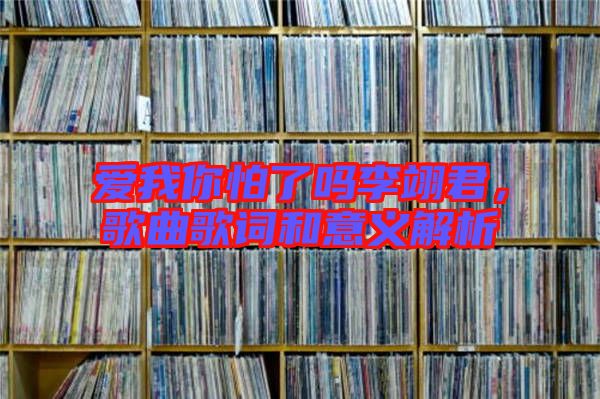 愛我你怕了嗎李翊君，歌曲歌詞和意義解析