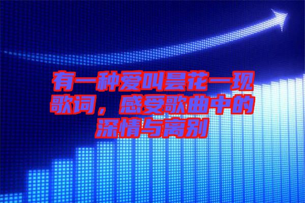 有一種愛叫曇花一現(xiàn)歌詞，感受歌曲中的深情與離別