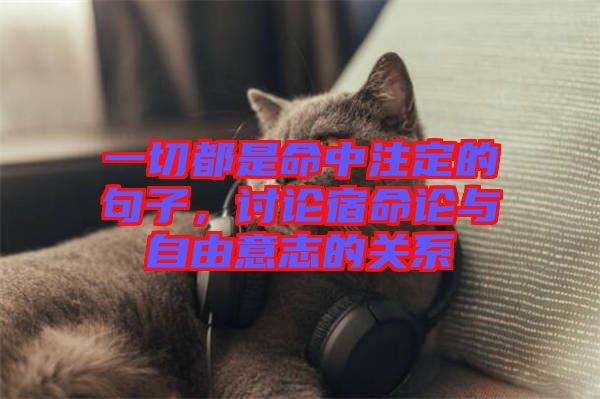 一切都是命中注定的句子，討論宿命論與自由意志的關(guān)系
