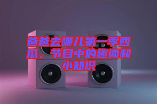 爸爸去哪兒第一季西瓜，節(jié)目中的趣聞和小知識(shí)