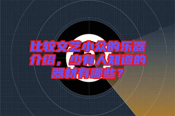 比較文藝小眾的樂(lè)器介紹，少有人知道的器材有哪些？
