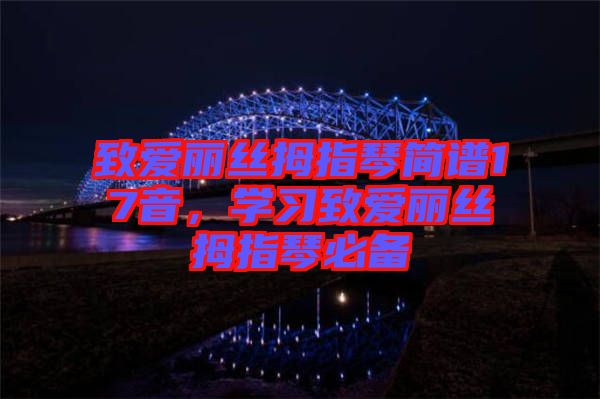 致愛麗絲拇指琴簡譜17音，學(xué)習(xí)致愛麗絲拇指琴必備