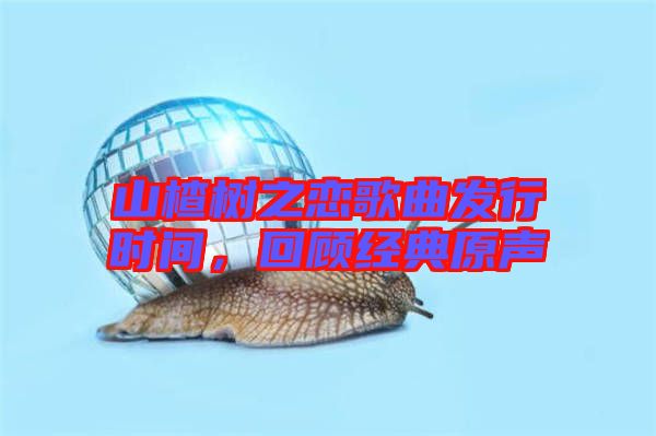 山楂樹之戀歌曲發(fā)行時(shí)間，回顧經(jīng)典原聲