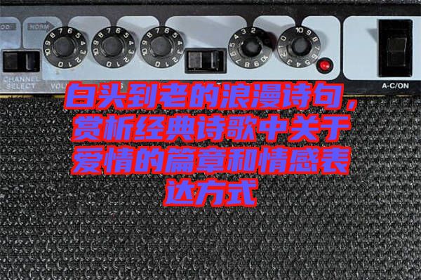 白頭到老的浪漫詩句，賞析經(jīng)典詩歌中關(guān)于愛情的篇章和情感表達方式