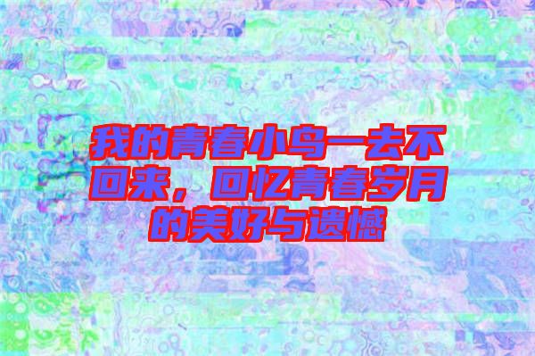 我的青春小鳥(niǎo)一去不回來(lái)，回憶青春歲月的美好與遺憾