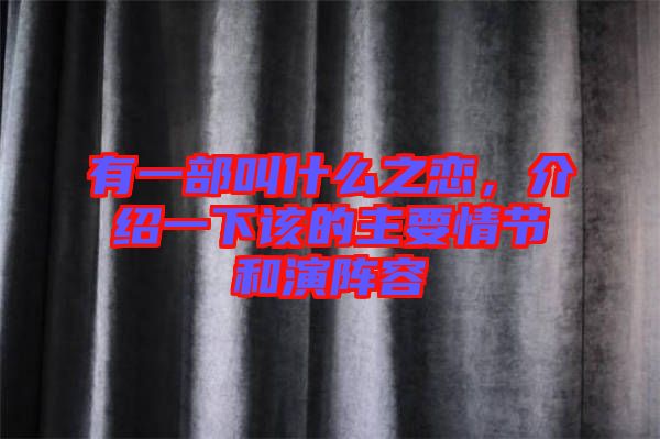 有一部叫什么之戀，介紹一下該的主要情節(jié)和演陣容