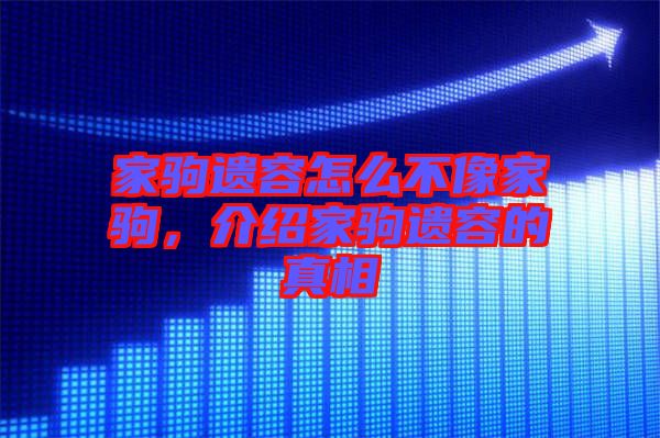 家駒遺容怎么不像家駒，介紹家駒遺容的真相