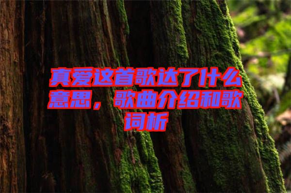 真愛這首歌達了什么意思，歌曲介紹和歌詞析
