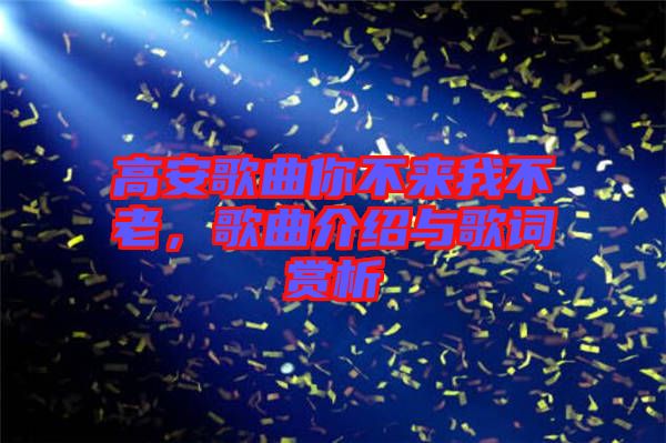 高安歌曲你不來(lái)我不老，歌曲介紹與歌詞賞析