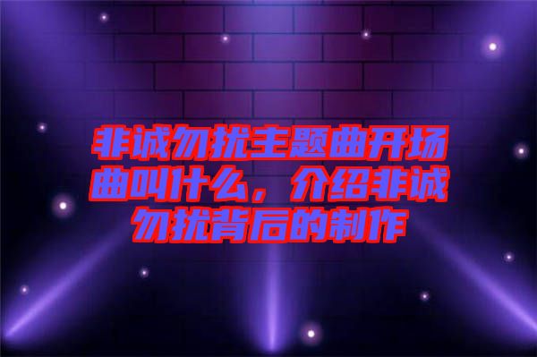 非誠勿擾主題曲開場(chǎng)曲叫什么，介紹非誠勿擾背后的制作