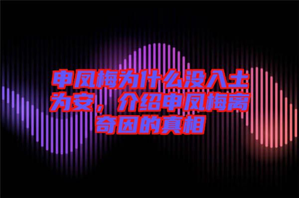 申鳳梅為什么沒入土為安，介紹申鳳梅離奇因的真相