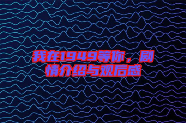 我在1949等你，劇情介紹與觀后感