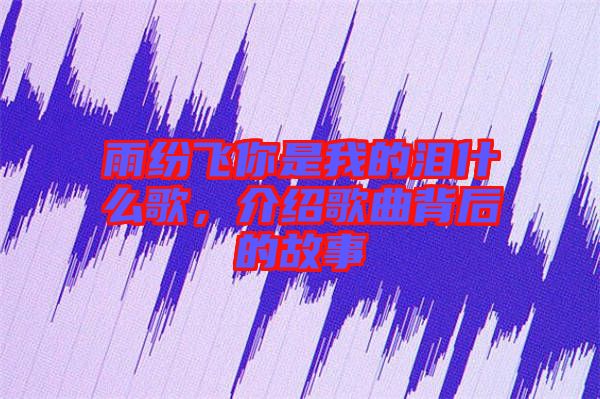 雨紛飛你是我的淚什么歌，介紹歌曲背后的故事