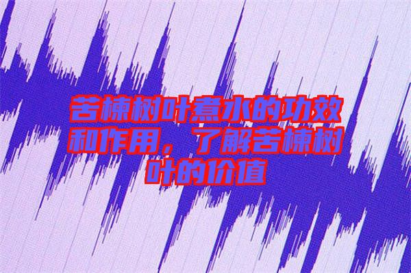 苦楝樹葉煮水的功效和作用，了解苦楝樹葉的價(jià)值