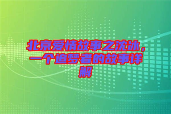 北京愛(ài)情故事之沈冰，一個(gè)追夢(mèng)者的故事詳解