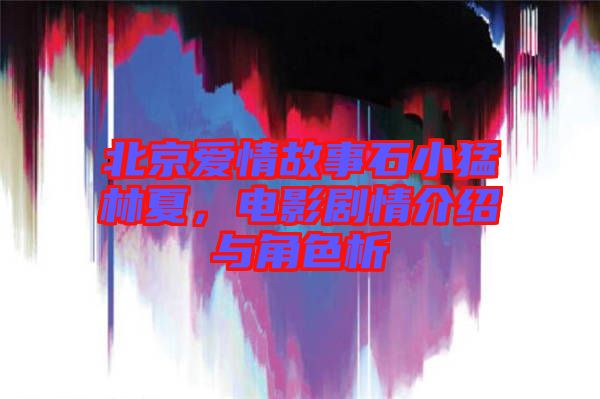 北京愛情故事石小猛林夏，電影劇情介紹與角色析