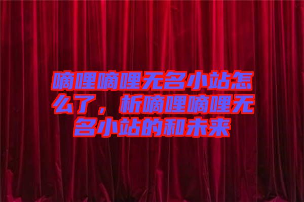 嘀哩嘀哩無名小站怎么了，析嘀哩嘀哩無名小站的和未來