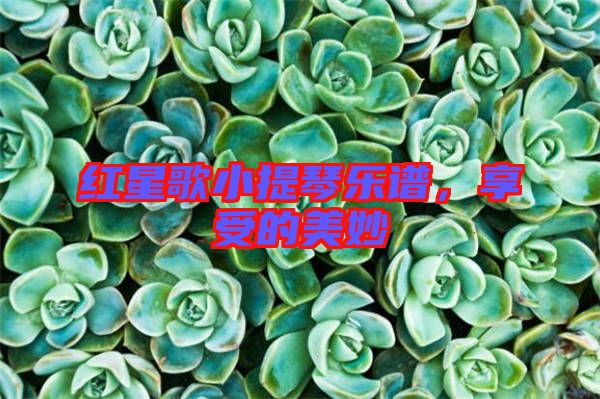 紅星歌小提琴樂譜，享受的美妙