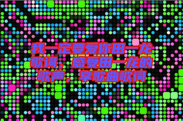 我一定要愛你田一龍歌詞，感受田一龍的歌聲，享歌曲歌詞