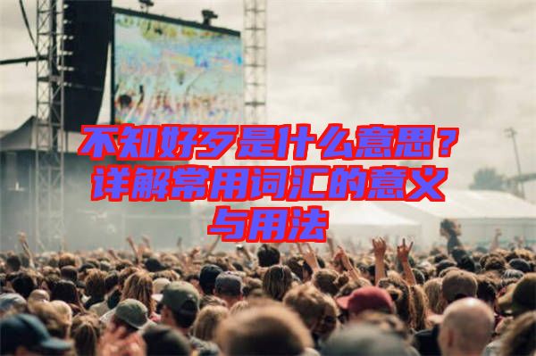 不知好歹是什么意思？詳解常用詞匯的意義與用法