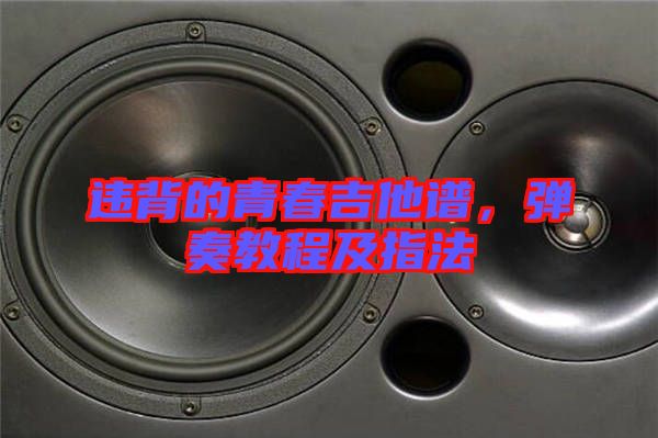 違背的青春吉他譜，彈奏教程及指法