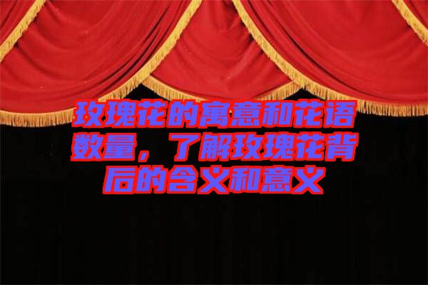 玫瑰花的寓意和花語數(shù)量，了解玫瑰花背后的含義和意義