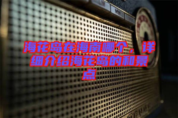 ?；◢u在海南哪個，詳細介紹?；◢u的和景點