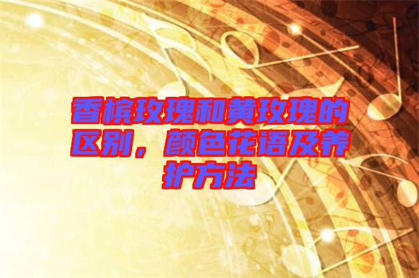 香檳玫瑰和黃玫瑰的區(qū)別，顏色花語及養(yǎng)護方法