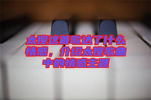 太傻這首歌達(dá)了什么情感，介紹太傻歌曲中的情感主題