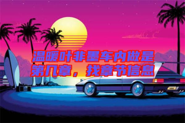溫暖葉非墨車內(nèi)做是第幾章，找章節(jié)信息