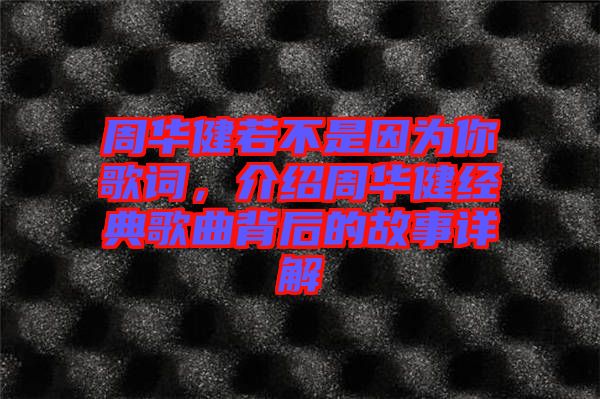 周華健若不是因為你歌詞，介紹周華健經典歌曲背后的故事詳解